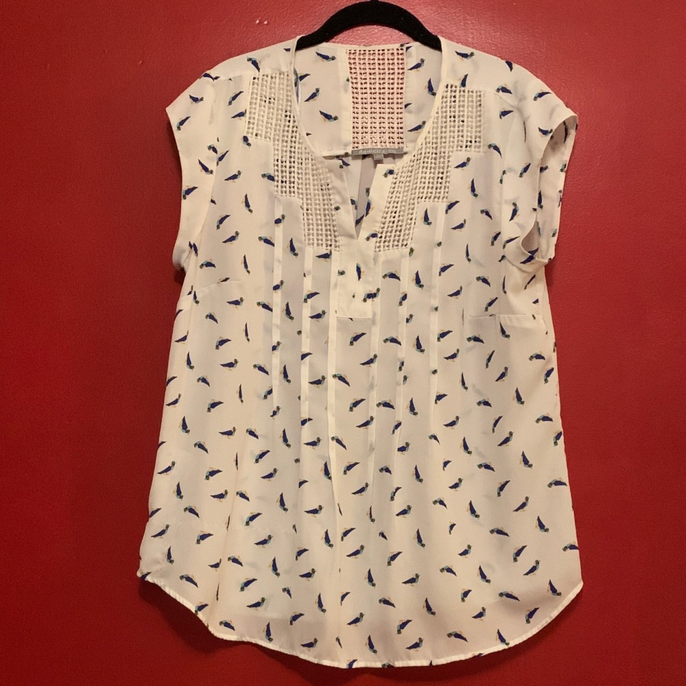 Daniel Rainn Cream and Blue, Bird Print Blouse
